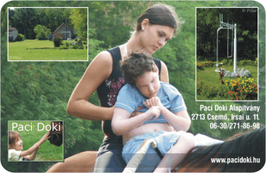 K�rtyanapt�r - 2008 - 001