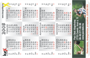 K�rtyanapt�r - 2008 - 001