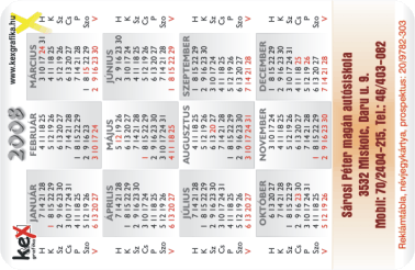 K�rtyanapt�r - 2008 - 008