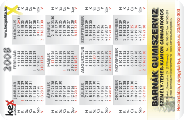 K�rtyanapt�r - 2008 - 018