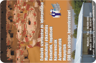 K�rtyanapt�r - 2008 - 016