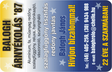 K�rtyanapt�r - 2008 - 026