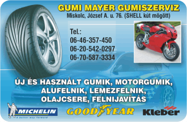 K�rtyanapt�r - 2008 - 028