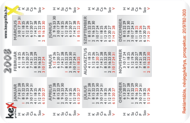 K�rtyanapt�r - 2008 - 021