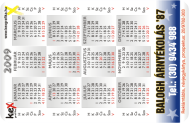 K�rtyanapt�r - 2009 - 003