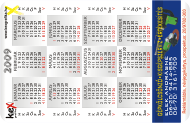 K�rtyanapt�r - 2009 - 007