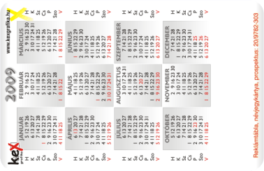 K�rtyanapt�r - 2009 - 008