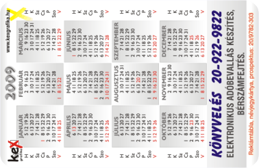 K�rtyanapt�r - 2009 - 011