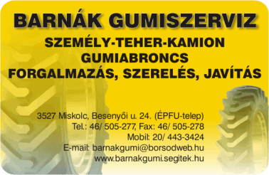 K�rtyanapt�r - 2009 - 019