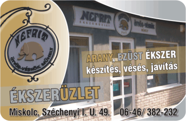 K�rtyanapt�r - 2009 - 024